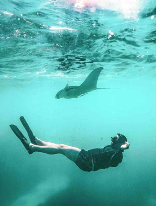 3 Point Snorkeling Nusa Penida