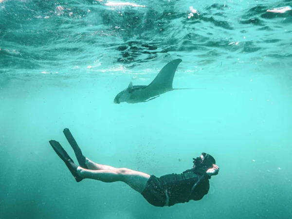 3 Point Snorkeling Nusa Penida