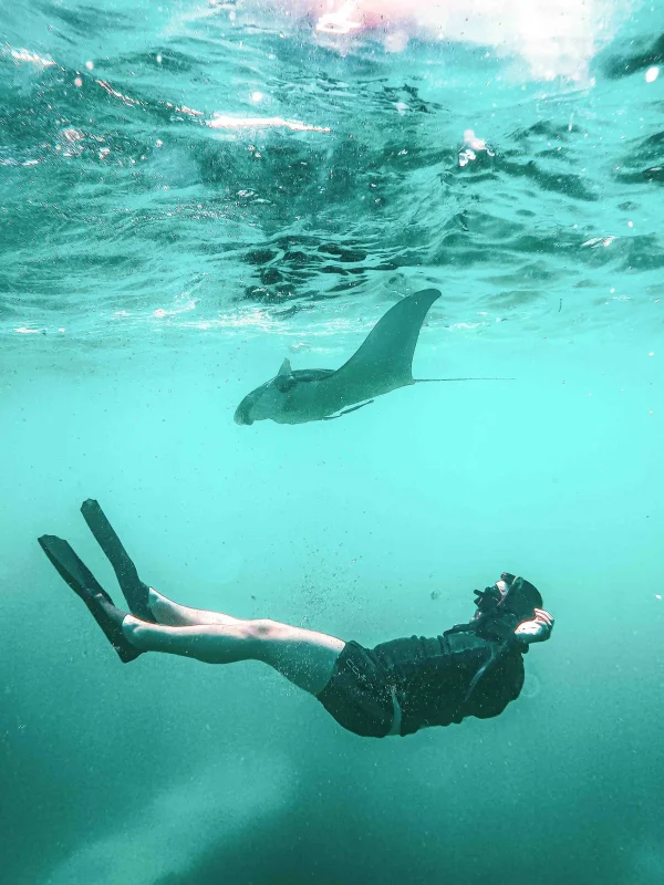 3 Point Snorkeling Nusa Penida