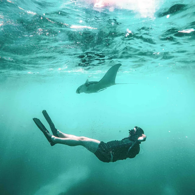 3 Point Snorkeling Nusa Penida