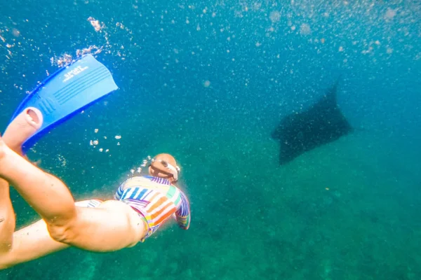 Nusa Penida Snorkeling & Kelingking