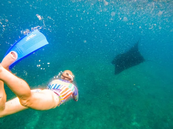 Nusa Penida Snorkeling & Kelingking