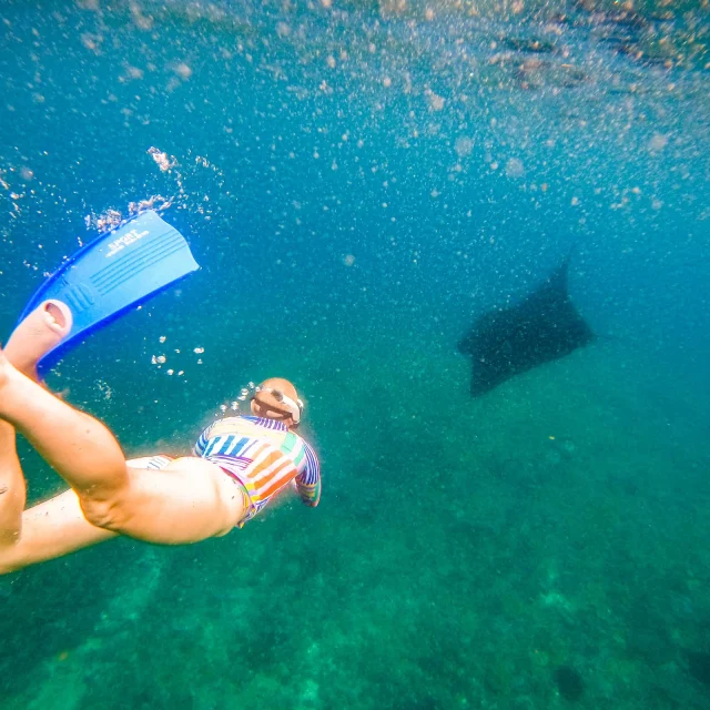 Nusa Penida Snorkeling & Kelingking