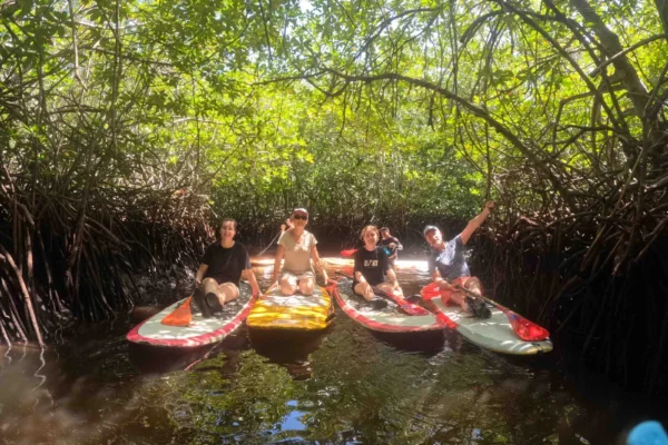 Stand Up Paddle Mangrove Nusa Lembongan