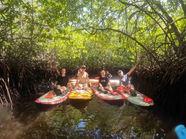 Stand Up Paddle Mangrove Nusa Lembongan