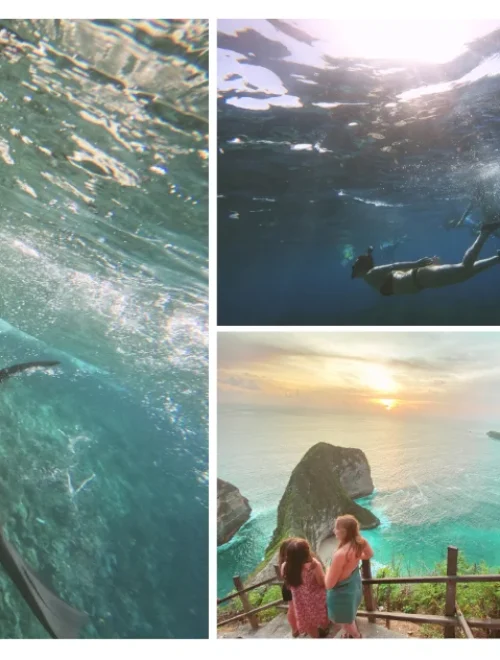 Nusa Penida Snorkeling & Kelingking